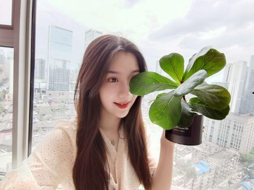 最新国产综合自拍视频,探索生活美学与创意无限