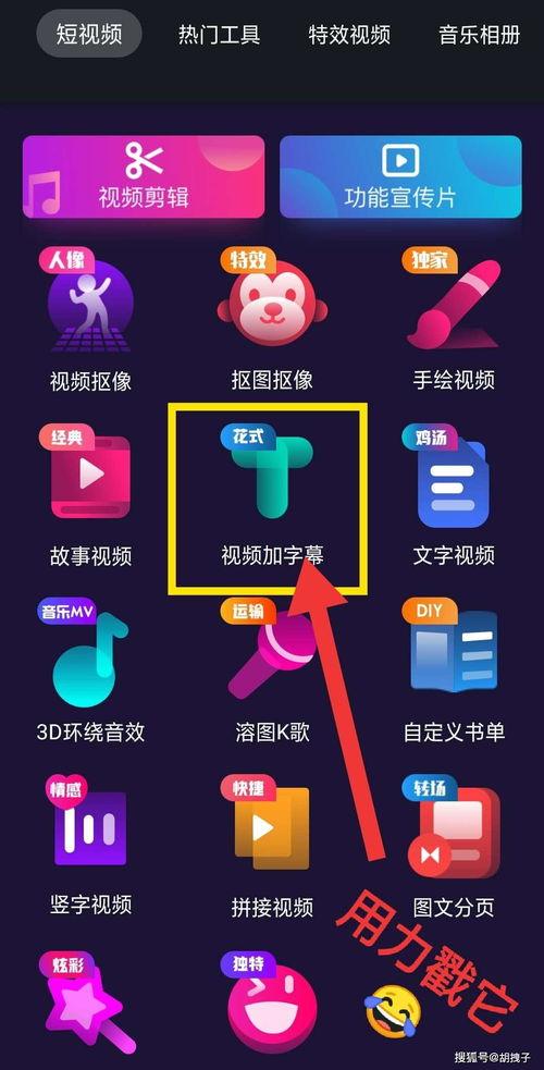 国产录音视频,展现时代风采，记录生活瞬间