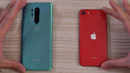 国产手机旗舰视频下载软件,下载软件新篇章