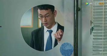 国产网剧骗局视频大全集,视频大全集深度剖析