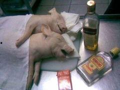 国产内衣主播视频在线,国产内衣主播的时尚演绎与互动体验