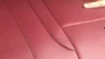 国产燕窝坐垫视频大全,养生与舒适并存的健康之选  第2张